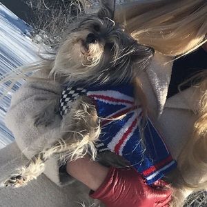 Harajuku by Gwen Stefani Union Jack Doggy Sweater!